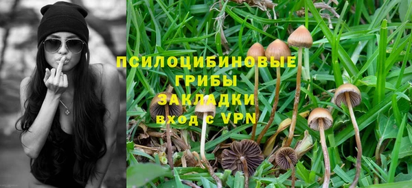 герыч Дмитровск