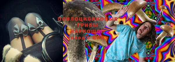 прущий лед Дмитров