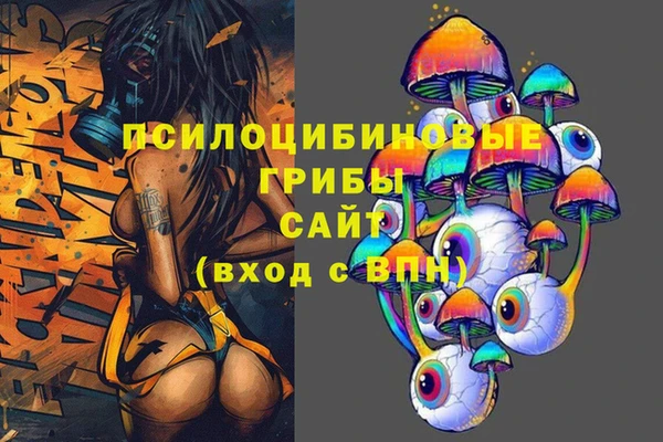 прущий лед Дмитров