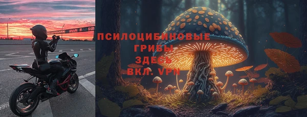 герыч Дмитровск