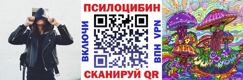 Купить  Новозыбков  Галлюциногенные грибы Psilocybe 